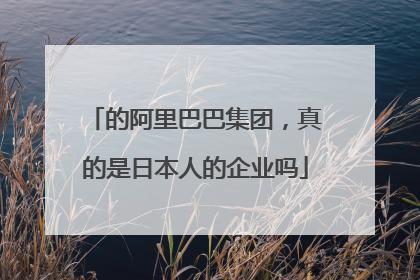 的阿里巴巴集团,真的是日本人的企业吗