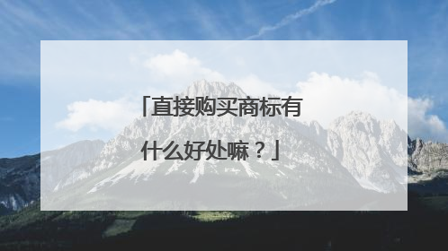 直接购买商标有什么好处嘛?