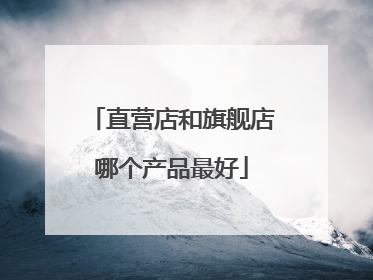 直营店和旗舰店哪个产品最好