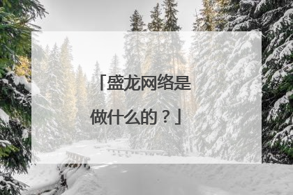 盛龙网络是做什么的?