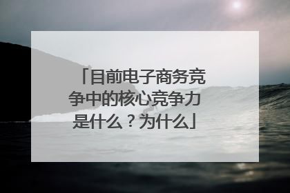 目前电子商务竞争中的核心竞争力是什么?为什么