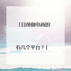 目前做电商的有几个平台?