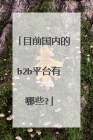 目前国内的b2b平台有哪些?