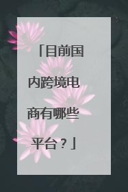 目前国内跨境电商有哪些平台？