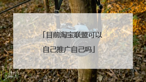 目前淘宝联盟可以自己推广自己吗