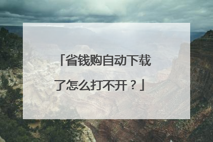 省钱购自动下载了怎么打不开?