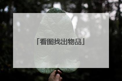 看图找出物品