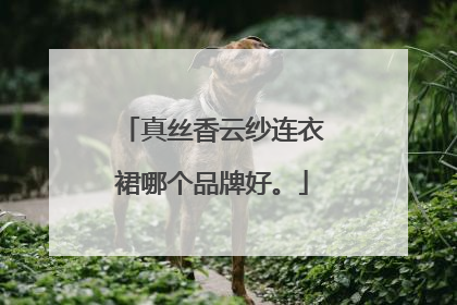 真丝香云纱连衣裙哪个品牌好。