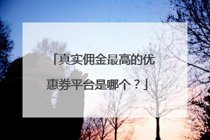 真实佣金最高的优惠券平台是哪个?
