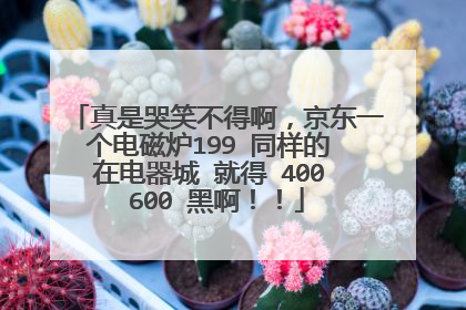 真是哭笑不得啊,京东一个电磁炉199 同样的 在电器城 就得 400 600 黑啊!!