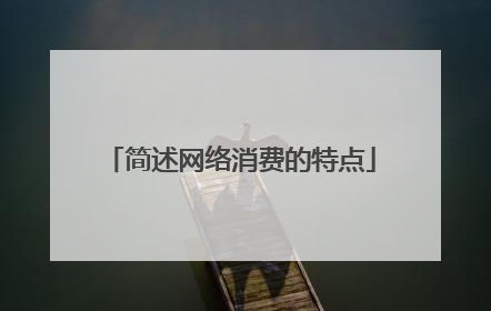 简述网络消费的特点