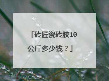 砖匠瓷砖胶10公斤多少钱?