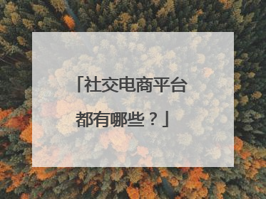 社交电商平台都有哪些?