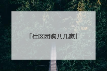 社区团购共几家