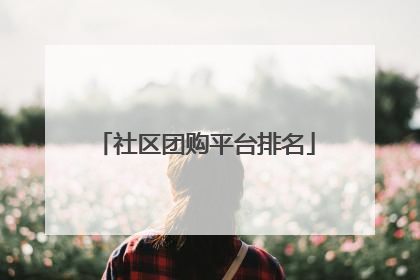 社区团购平台排名