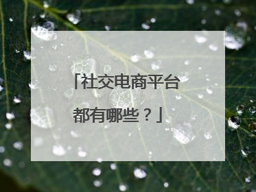 社交电商平台都有哪些?