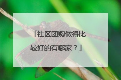 社区团购做得比较好的有哪家?