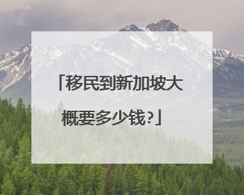 移民到新加坡大概要多少钱?
