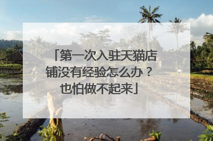 第一次入驻天猫店铺没有经验怎么办?也怕做不起来