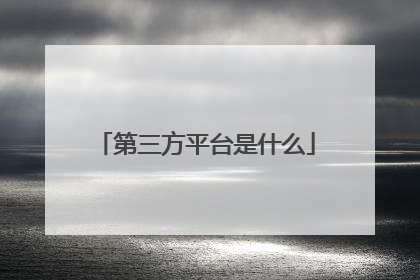 第三方平台是什么