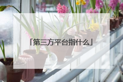 第三方平台指什么