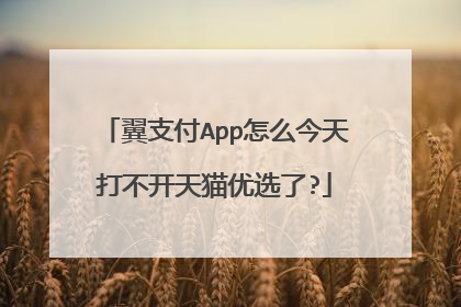 翼支付App怎么今天打不开天猫优选了?