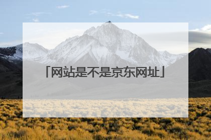 网站是不是京东网址
