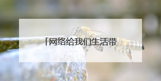 网络给我们生活带来的便利的作文