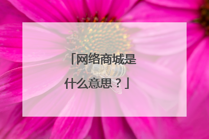 网络商城是什么意思?
