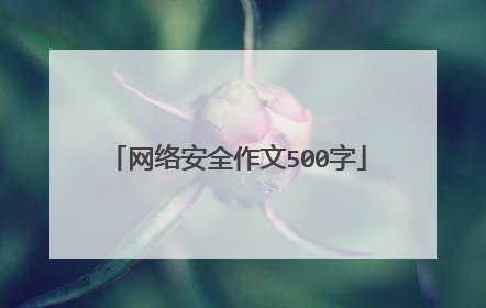 网络安全作文500字