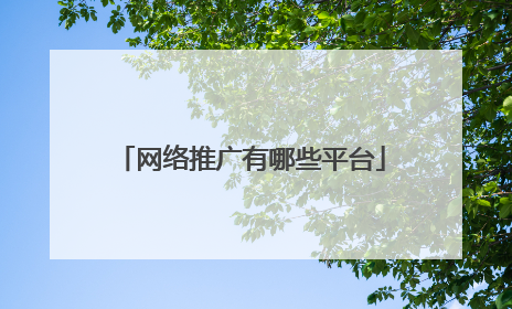 网络推广有哪些平台