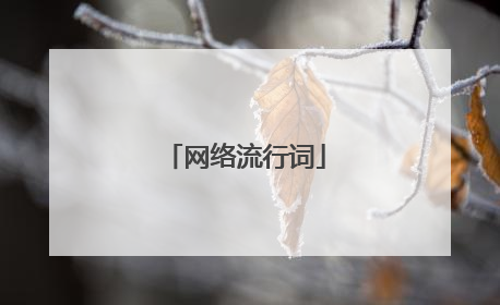 网络流行词