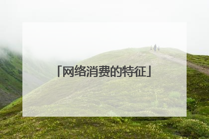 网络消费的特征