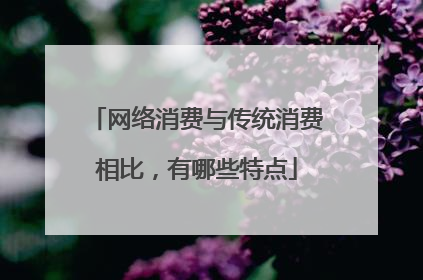 网络消费与传统消费相比,有哪些特点
