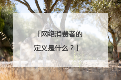 网络消费者的定义是什么？