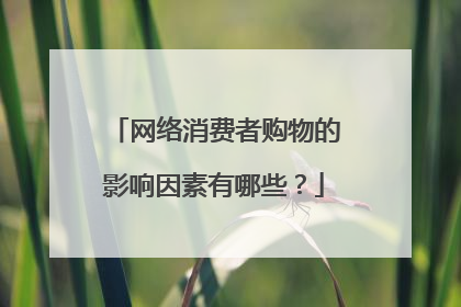 网络消费者购物的影响因素有哪些?