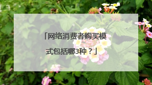 网络消费者购买模式包括哪3种?