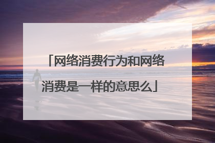网络消费行为和网络消费是一样的意思么