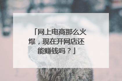 网上电商那么火爆,现在开网店还能赚钱吗?