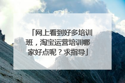 网上看到好多培训班,淘宝运营培训哪家好点呢?求指导