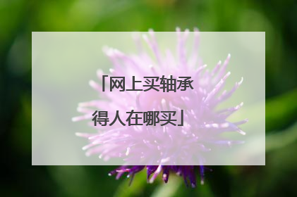 网上买轴承得人在哪买