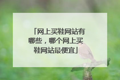 网上买鞋网站有哪些,哪个网上买鞋网站最便宜