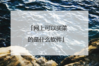网上可以买菜的是什么软件