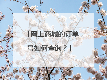 网上商城的订单号如何查询?