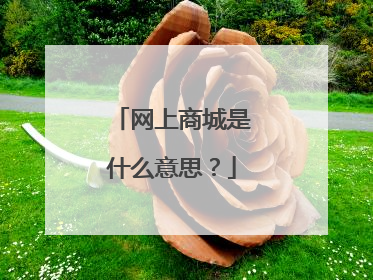 网上商城是什么意思?