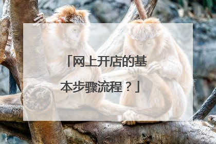 网上开店的基本步骤流程?