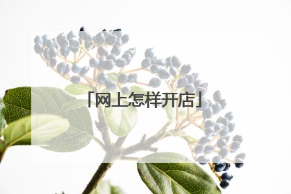 网上怎样开店