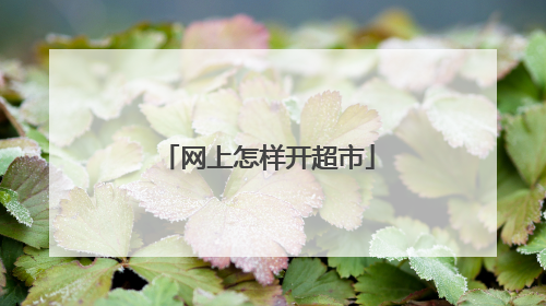 网上怎样开超市