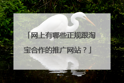 网上有哪些正规跟淘宝合作的推广网站?