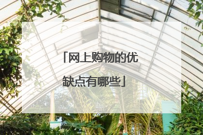 网上购物的优缺点有哪些